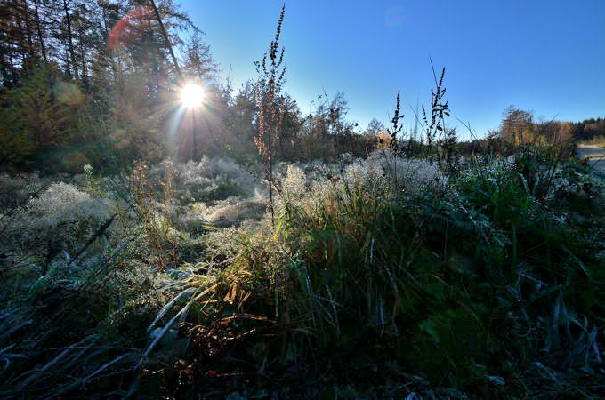 Naturpark Hohe Mark 03