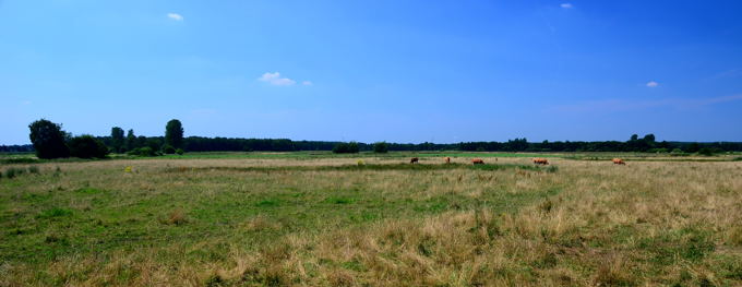 Naturpark Hohe Mark-Route 03 2