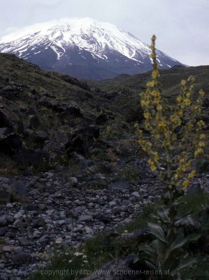 Ostanatolien > Ararat