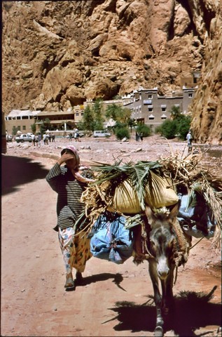 Marokkoreise 7