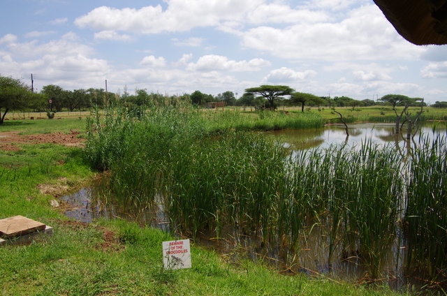 14 Afrika 2012 / Drackensberge / Heath Resort