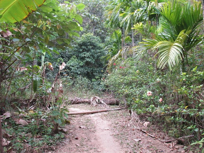 Wasserfall Klong Jao Leuam (10)