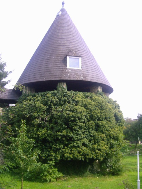 SCHLOSS KOBERSDORF
