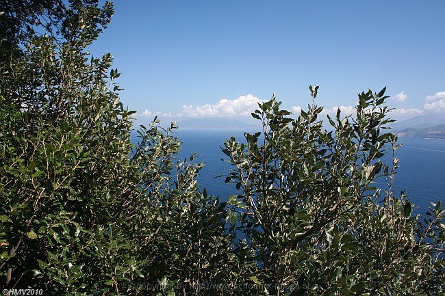 ANACAPRI > Ausblick zum Vesuv