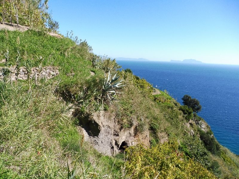 Ischia 10.2016 557