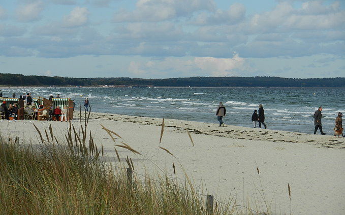 BINZ 5