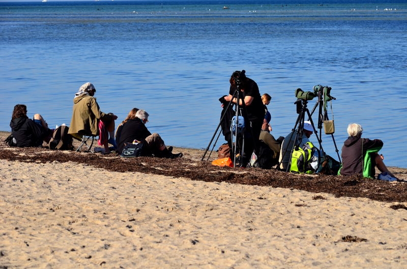 Insel Poel 2014 DSC_8028