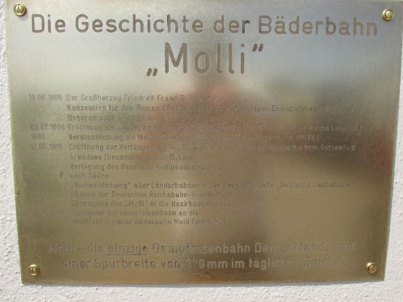 Molli (9)