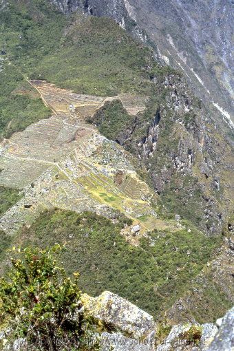 Machu Picchu > Blick vom Huyana Picchu