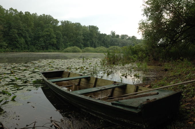 Naturpark Lonjsko Polje 01 3