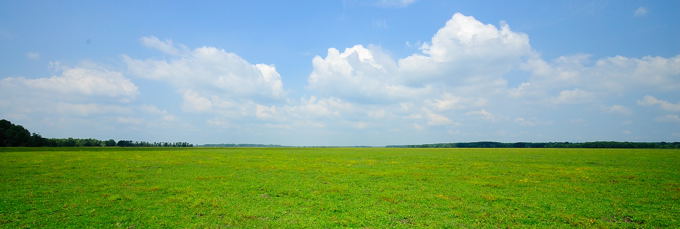 Naturpark Lonjsko Polje 04 6