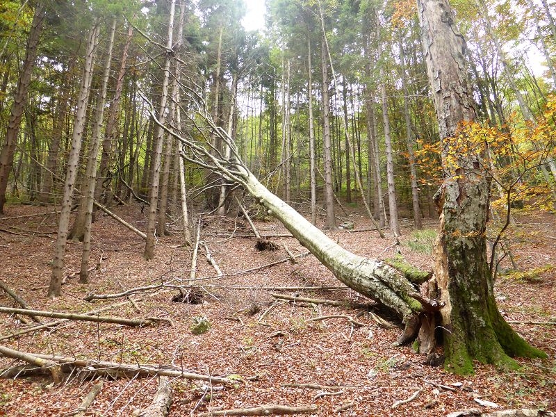 Wanderung zum Vojak