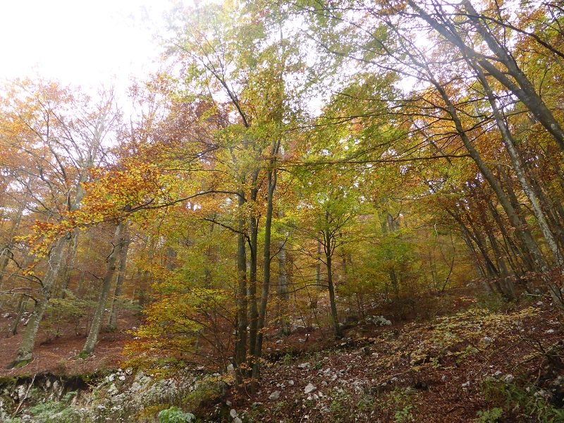 Wanderung zum Vojak