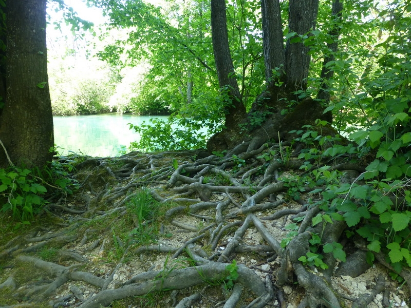 Slapic Campingplatz