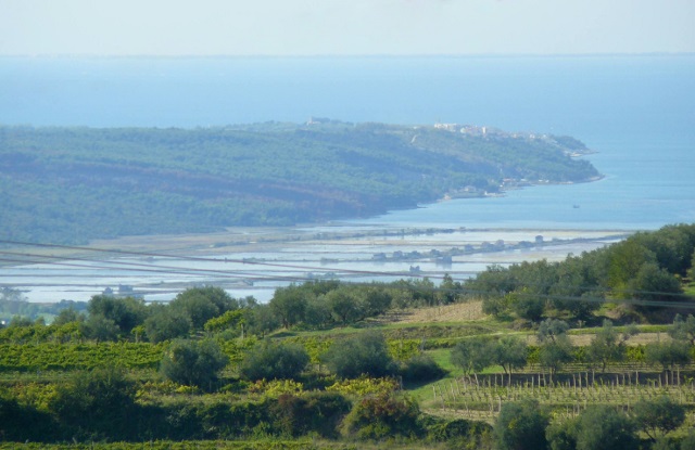 Blick auf die Salinenfelder