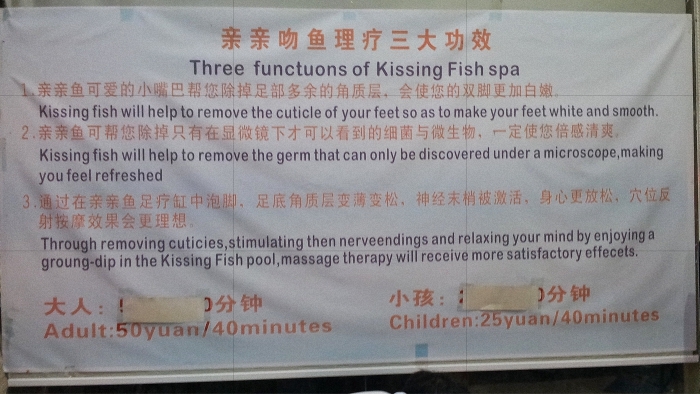 KissFish2