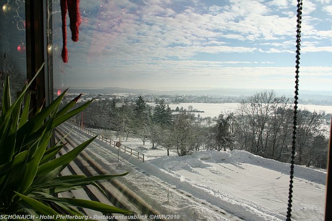 SCHÖNAICH > Hotel Pfefferburg > Restaurantausblick Südost