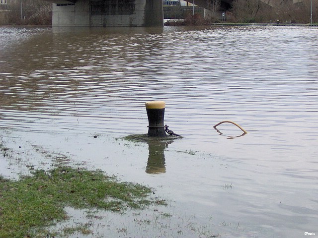 Rad und Fußweg Lützeler Moselufer