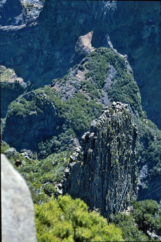 Madeira , die Vulkan- aber auch Frühlingsinsel, Teil 1 7