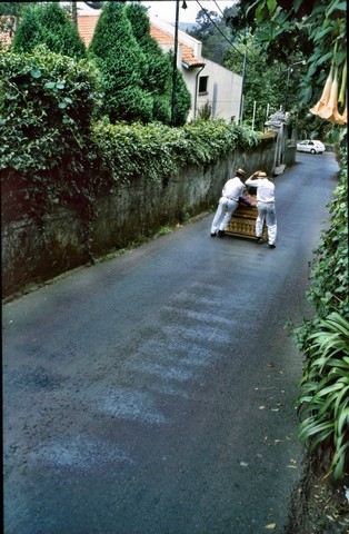 Madeira , die Vulkan- aber auch Frühlingsinsel, Teil 3