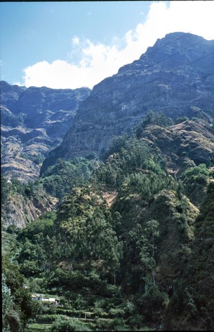 Madeira , die Vulkan- aber auch Frühlingsinsel, Teil 3 7