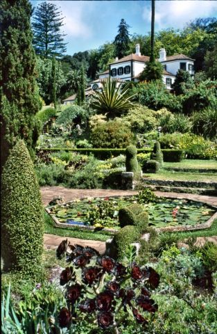 Madeira , die Vulkan- aber auch Frühlingsinsel, Teil 1 2