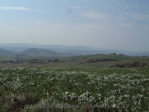 VOLTERRA > Blick nach Süden