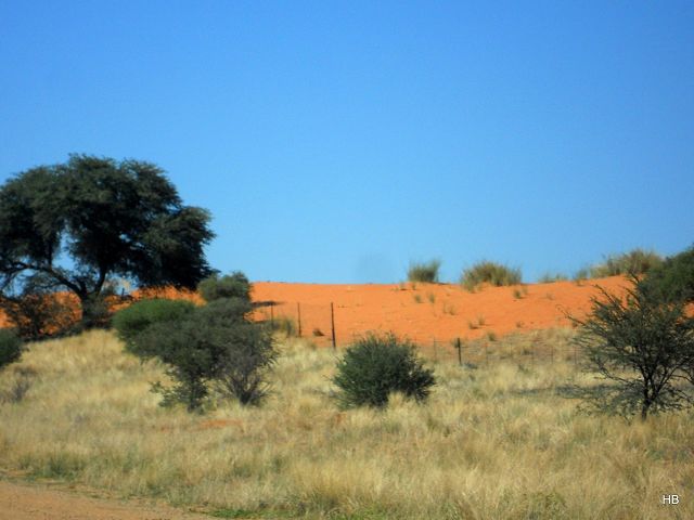 Namibia 2012/13 3