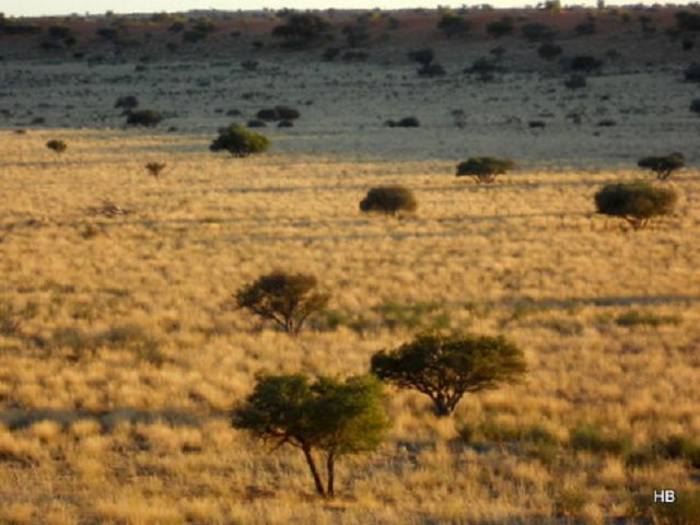 Namibia 2012/13 5