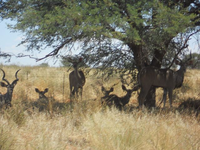 Namibia 2011/12 6