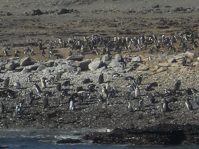 Namibia 2011/12 2