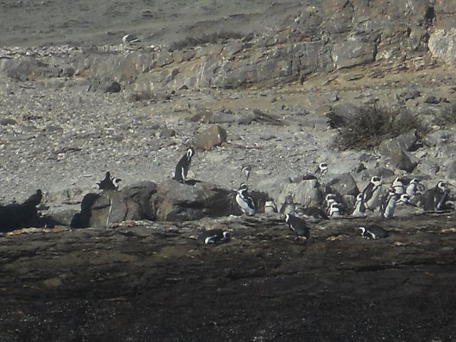 Namibia 2011/12 7