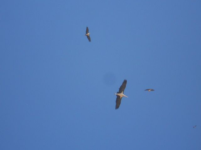 Namibia 2011/12 4