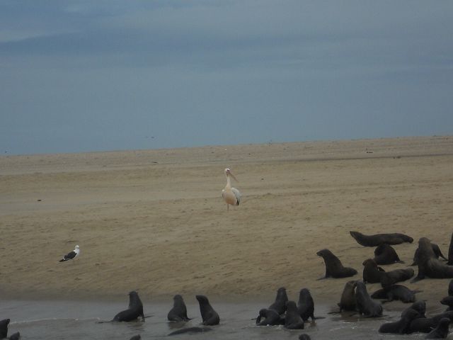 Walvis Bay 3