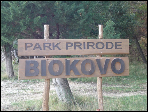 Sveti Jure 6