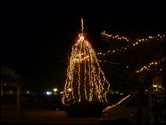 TUCEPI > Der Weihnachtsbaum