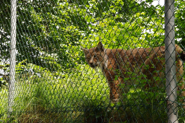 Tierpark Rosegg