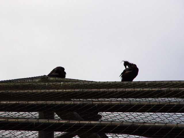 Tierpark Rosegg 3