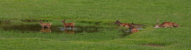 Tierpark Rosegg 2