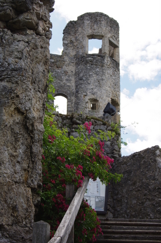 Burg Finkenstein -Faaker See 3