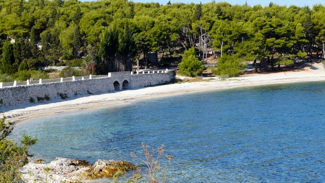 Herbst 2011, 11,Brac 8