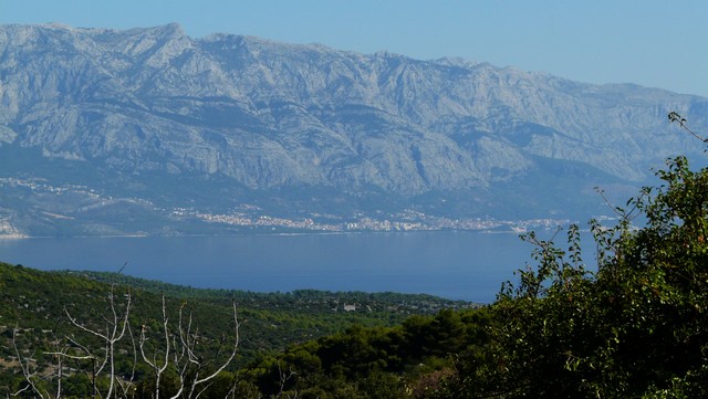 Herbst 2011, 11,Brac 8