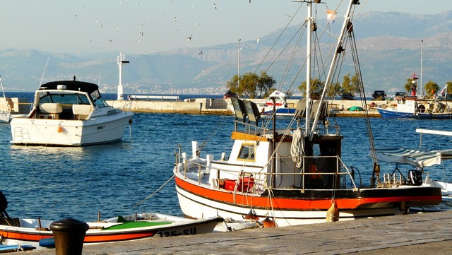 Herbst 2011, 11,Brac