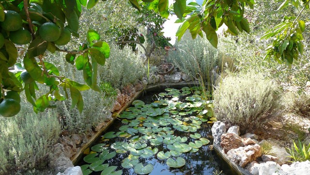 Herbst 2011/5: Peljesac  u.Korcula 2