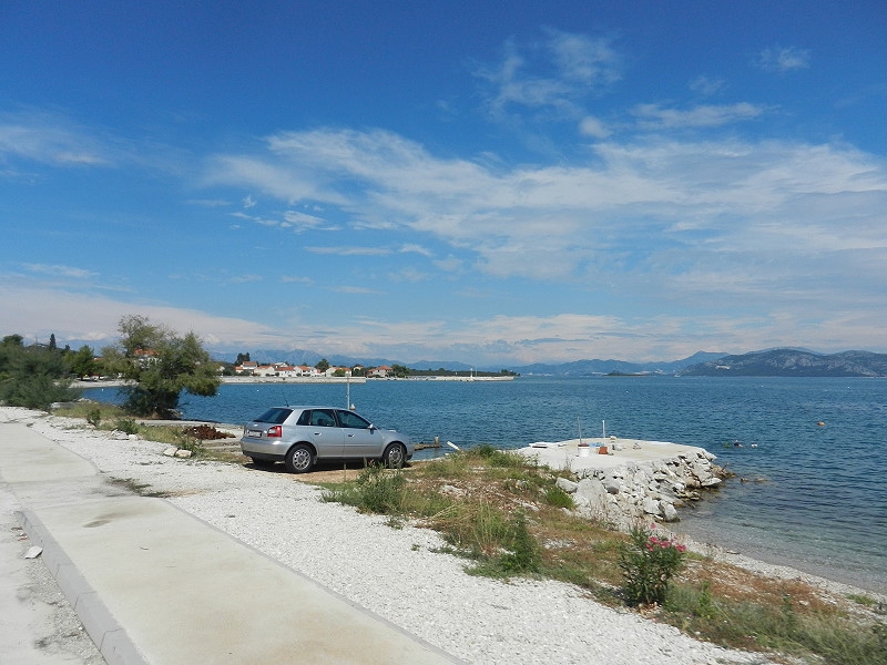 8 Drace Peljesac (1)