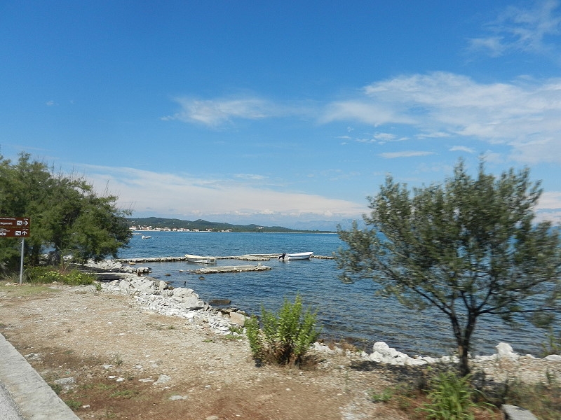 8 Drace Peljesac (2)