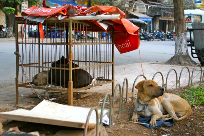 HANOI