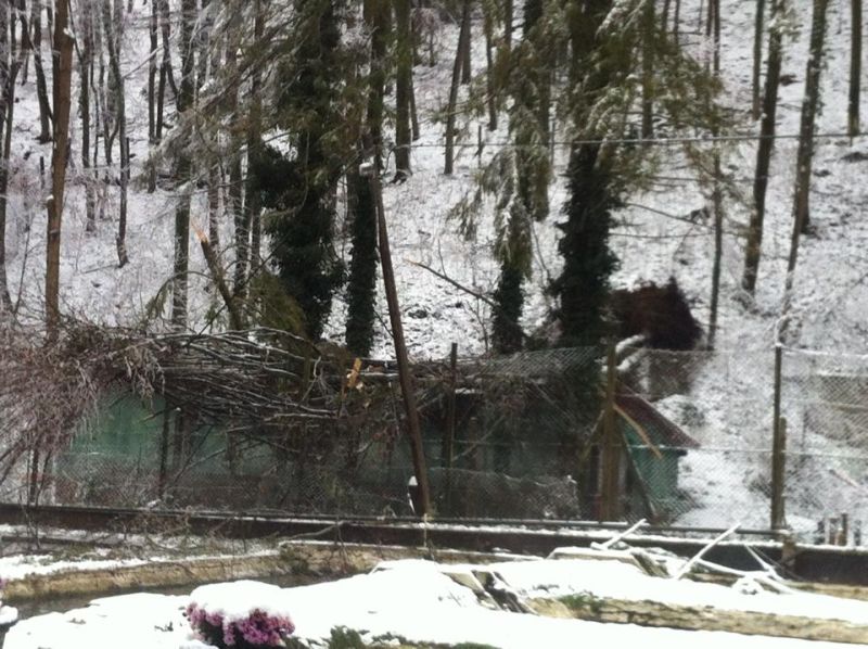 H:Lillafüred>Forellenhof>neues Bruthaus1