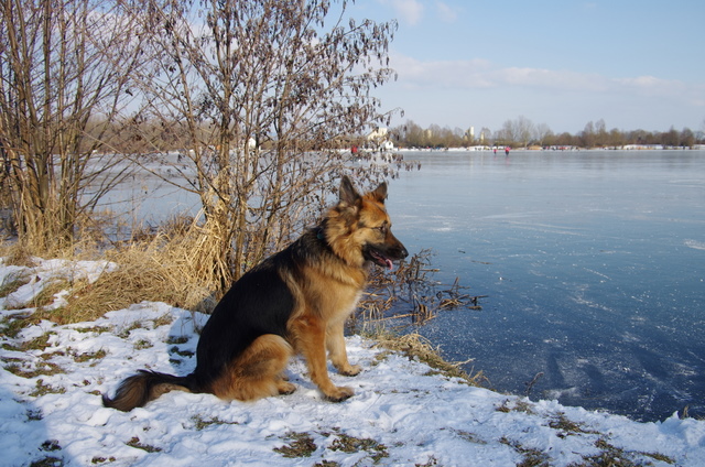 Guggenberger See 3