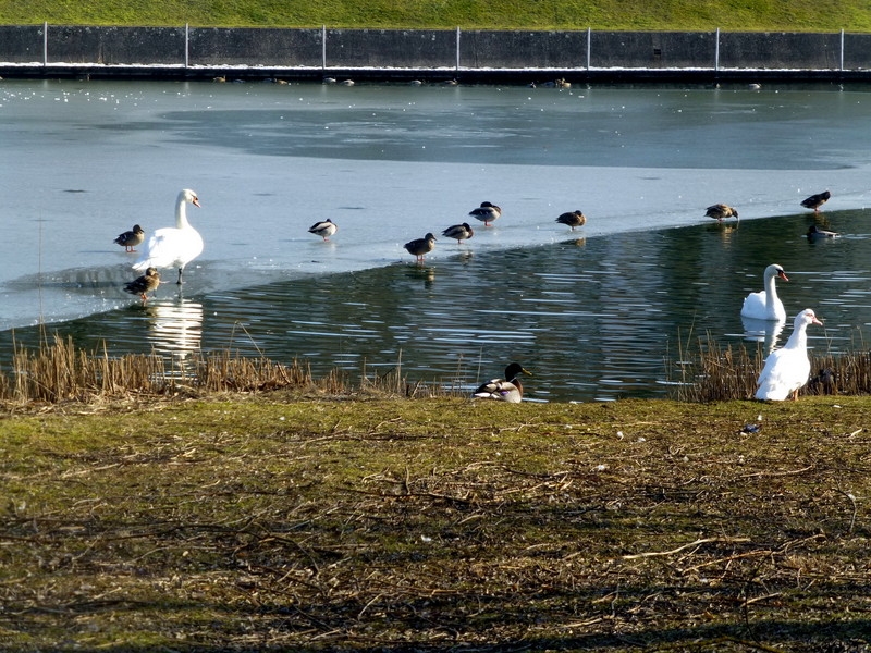 Frühlingsspaziergang